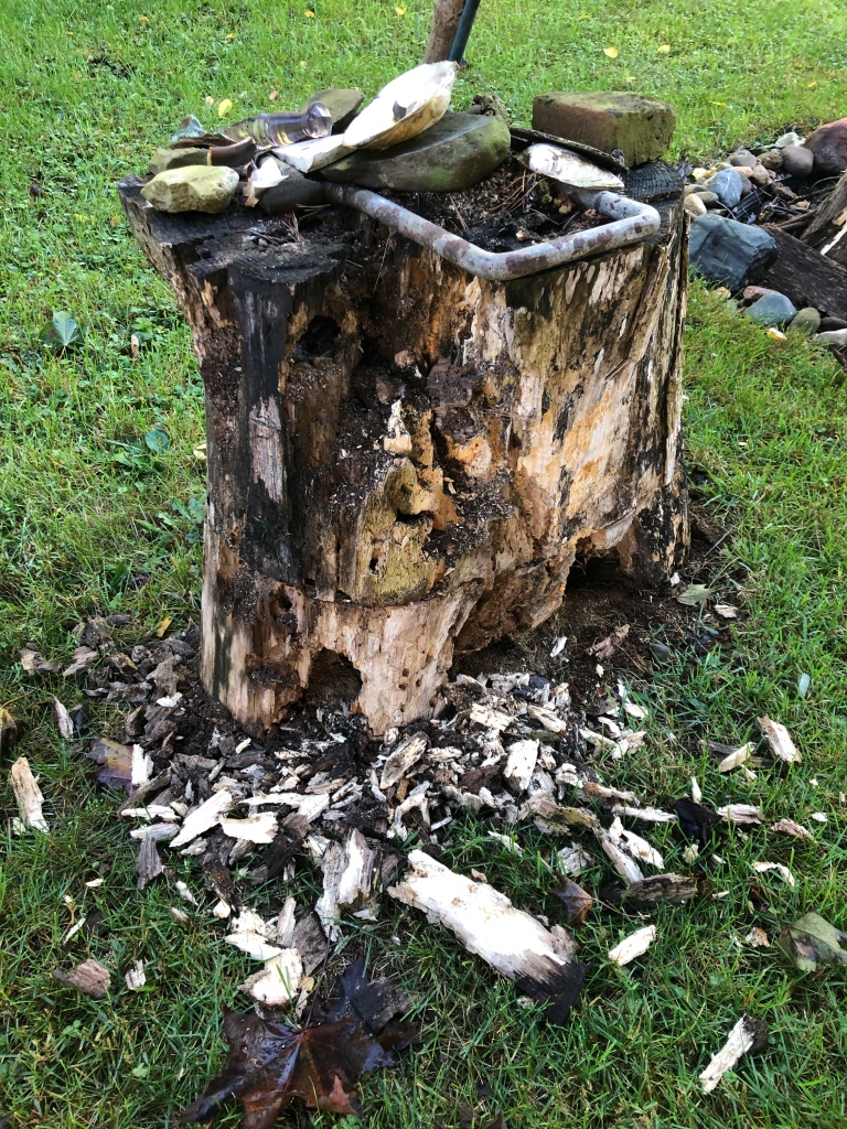 Large log slice,  used as a side table and covered with ephemera, mostly rocks or bits of pottery found in the yard